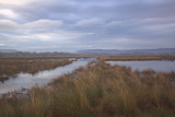 The main drain on the Crom Mhin marsh