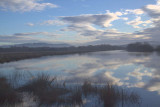 The Endrick Water with Campsie Hills behind