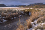 The Crom Mhin bridge, Loch Lomond NNR