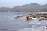 Balmaha Bay, Loch Lomond NNR