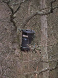 Owl nest box, Loch Lomond NNR