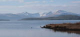 The Glen Luss Hills from Net Bay