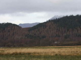 Ben Lomond from the Crom Mhin marsh