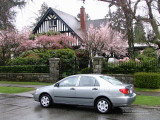 The Crescent, Old Shaughnessy