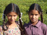 BIR-COWGIRLS.jpg