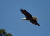 3-20-10-male-with-fish-2417.jpg