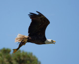 5-31-10-7993-male-with-fish.jpg