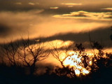 2010_06_08 Sunset in June - capture by Elke