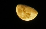 Moonglow