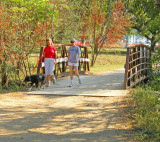 The hike and bike trail