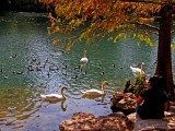 A peaceful scene