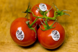 4/5/2010 Tomatoes