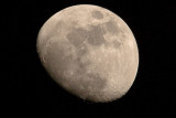 4/24/2010 Moon