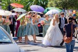 Wedding in New Orleans