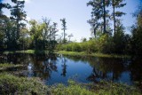 Bayou Coquille Trail