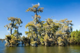 Lake Martin, Louisiana