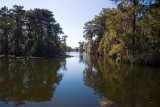 Lake Martin, Louisiana