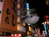 Funny that we saw a big puffer fish here...