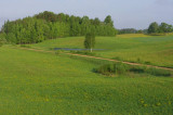 IMGP4252.JPG