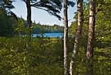 Pretty Marsh, Maine