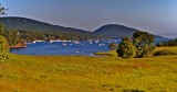 Somes Sound Fog