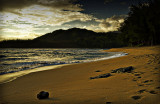 Alone on the Beach at Sunrise