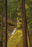 Wahkeena Falls, OR