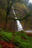 Horsetail Falls, OR