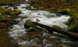 Ponytail Falls, OR