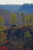 Some cliffs in the Red River Gorge, KY
