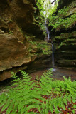Hemlock Cliffs IN 134 P_edited-2.jpg
