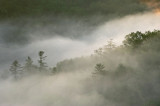 RRG3 067P_edited-2.jpg