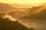 RRG3 062P_edited-2.jpg