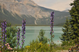 Emerald Lake, Yoho National Park