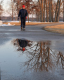 Winter Reflection