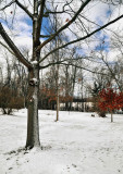 Surprise Spring Snowfall