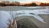 East Park Hull 3-1-10 012.JPG