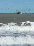 IMG_9822.JPG