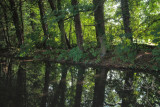 Thornton le Dale 003.JPG