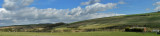 mw pan1.jpg