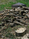 charcoal burner