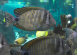 IMG_8019-01.jpg