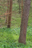 IMG_8271-01.jpg