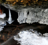 1/22/09 On Stone Mountain Creek NC.