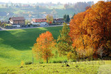 Ochsenwald (91890)