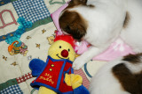 DSC01649.jpg