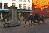 HORSE CARRIAGE & FOUNTAIN