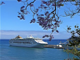 A CRUISE SHIP FROM SANTA CATERINA PARK . 1 686