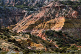 Canyon Color.jpg