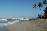 Driving to the Grande Riviere, we stopped at a beach